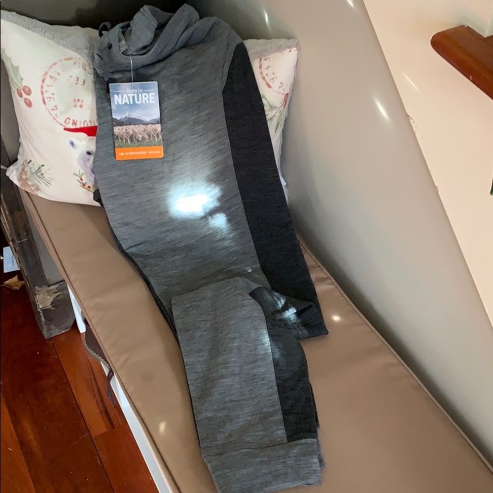 NWT ice breaker zoya pants. Grey size large